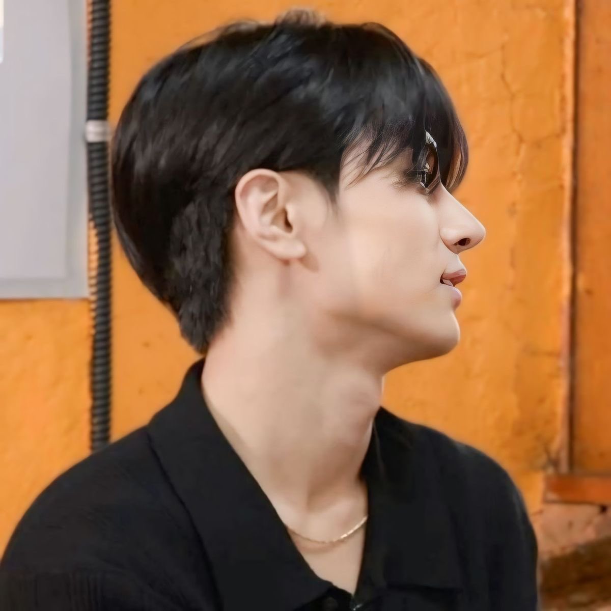 LUCKY 쫑깜냥 tweet media