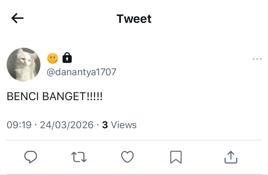 sasa tweet media