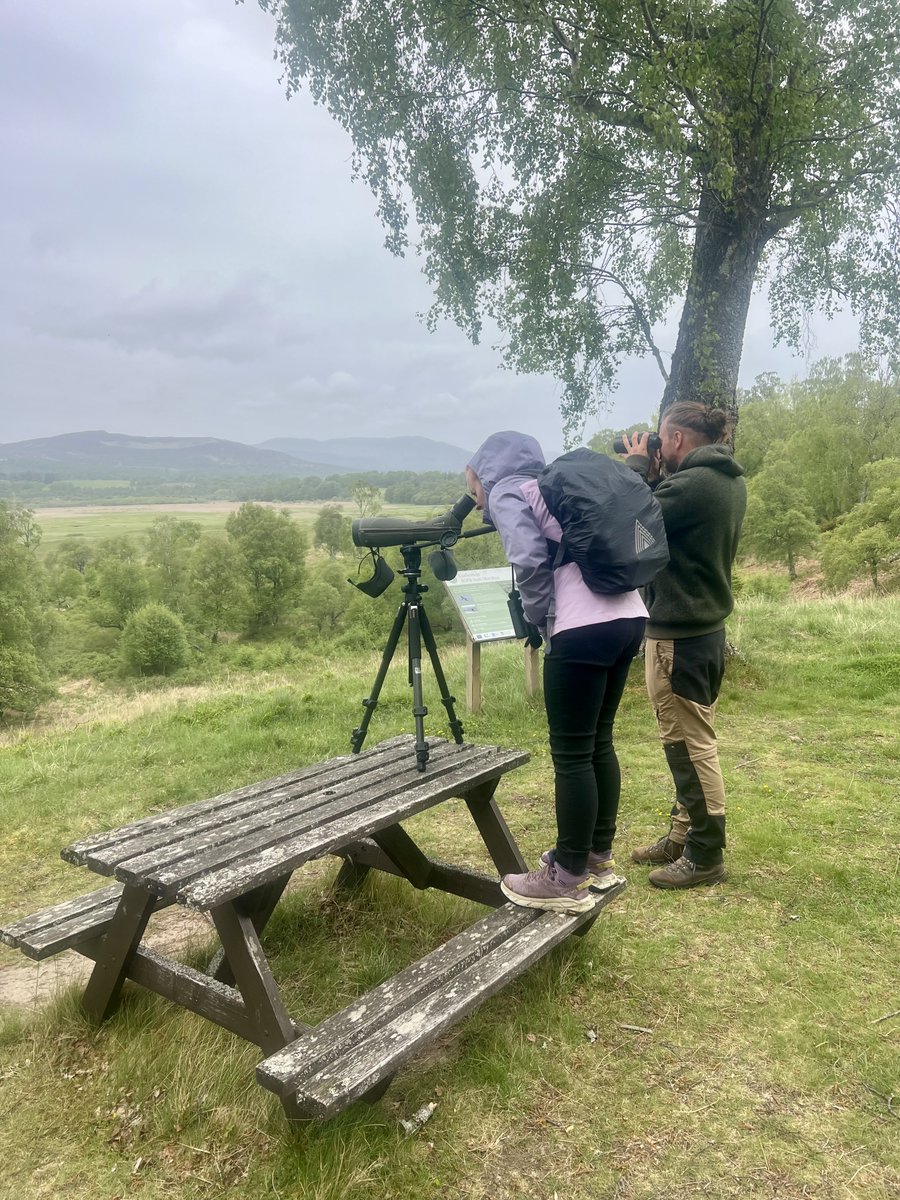 curlewcalls's tweet photo. With Flo, Tijs Claes and Colin MacLennan in the fabulous RSPB Insh Marshes today watching curlews and listening to them bubbling over the wetland. Magical. https://t.co/qL9anGmfEb