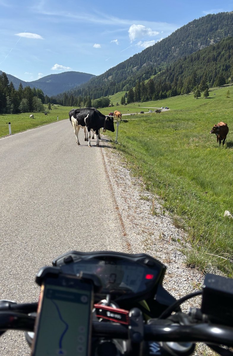 anfaengarin's tweet photo. 本日のぼっちツーリング。
OberjochとTannheimer Tal。やっぱりアルプスは景色が壮大で良い。
「牧草地、牛に注意」の看板があるなぁと思ったら、ほんとに牛がのびのび歩いてた。
こういう場所、だいすき。 https://t.co/tZ1PegEBRu