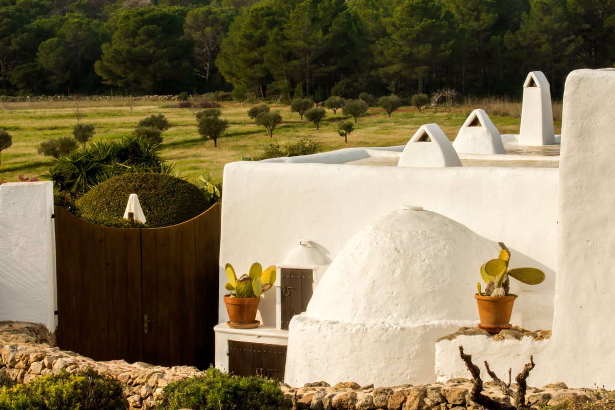 IBTourisme's tweet photo. L’architecture traditionnelle et le paysage rural restent au cœur d’#Ibiza. 📌

Maisons paysannes, champs cultivés et pinèdes dessinent une image de l’île en lien avec son histoire et un mode de vie profondément ancré dans l’environnement méditerranéen. 💙

#islasbaleares #illesbalears #visitibiza #visiteivissa