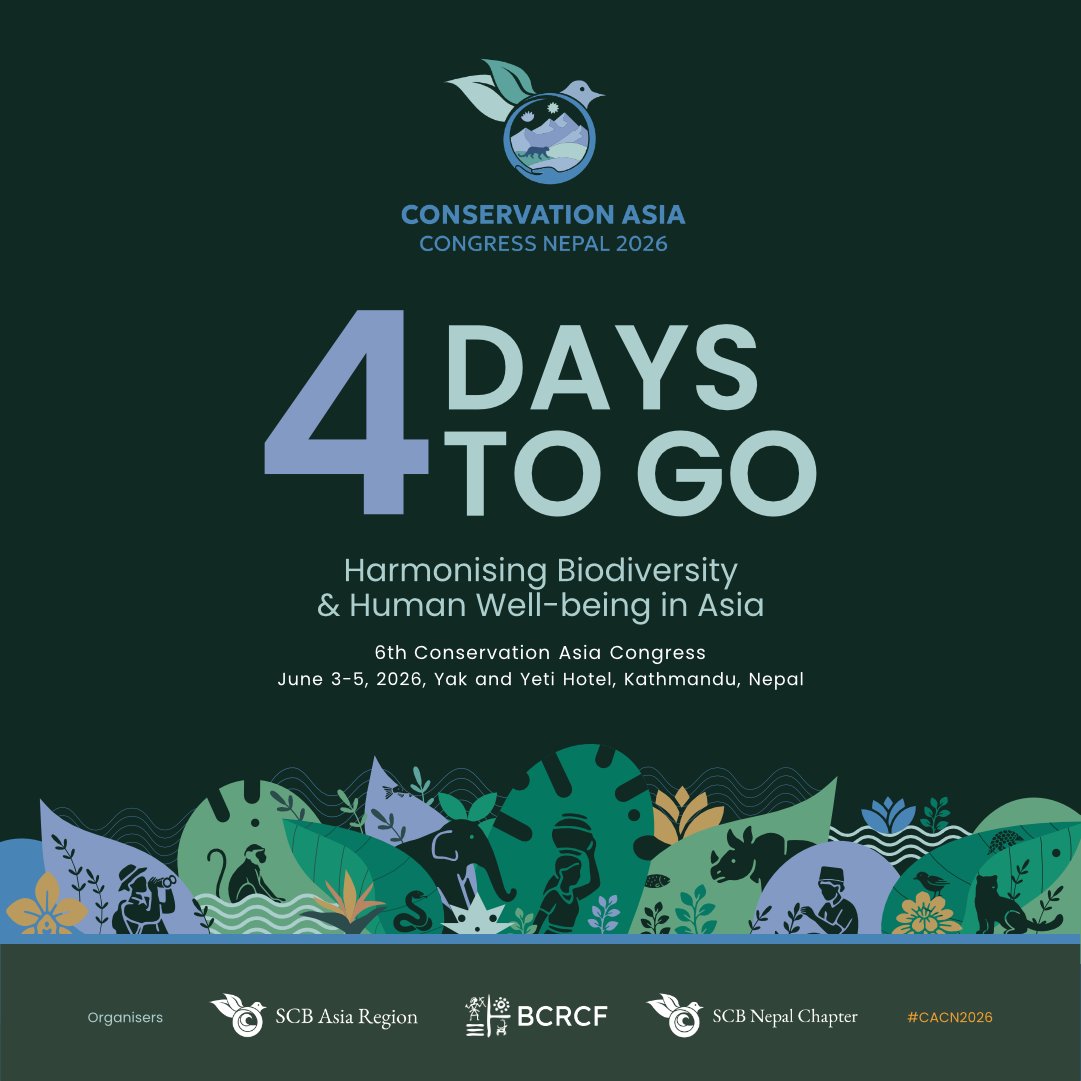 SCBAsia's tweet photo. ⏳ Only 4 days left! The final countdown to #CACN2026 is officially on. We are getting everything ready in Kathmandu to welcome our incredible global conservation community. Safe travels, everyone! ✈️🏔️
🔗 https://t.co/pvMUSrCFFJ https://t.co/hXvsQ3yg77