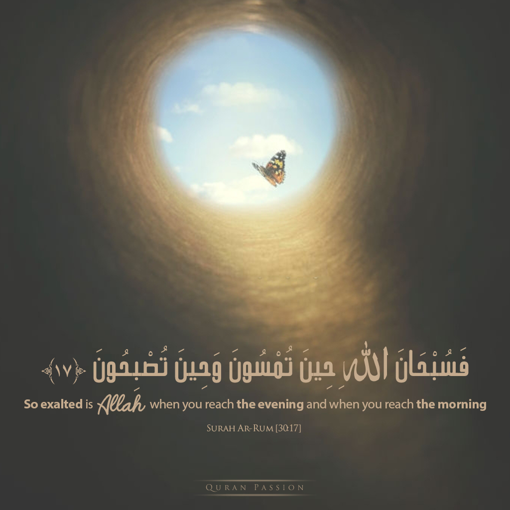 Al Quran Passion | القرآن tweet media