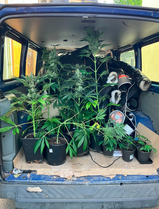 Gendarmerie_056's tweet photo. 📢🌿Avis aux jardiniers en herbe !

🧑‍🌾 Pour ceux qui seraient tentés de se lancer dans cette culture, la récolte peut s’avérer coûteuse :

⚖️ 20 ans d'emprisonnement et 7,5 millions d'euros d'amende pour la production illicite de stupéfiants.

La @Gendarmerie veille …🕵️ https://t.co/STWVLD8rcU