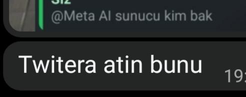mesi tweet media