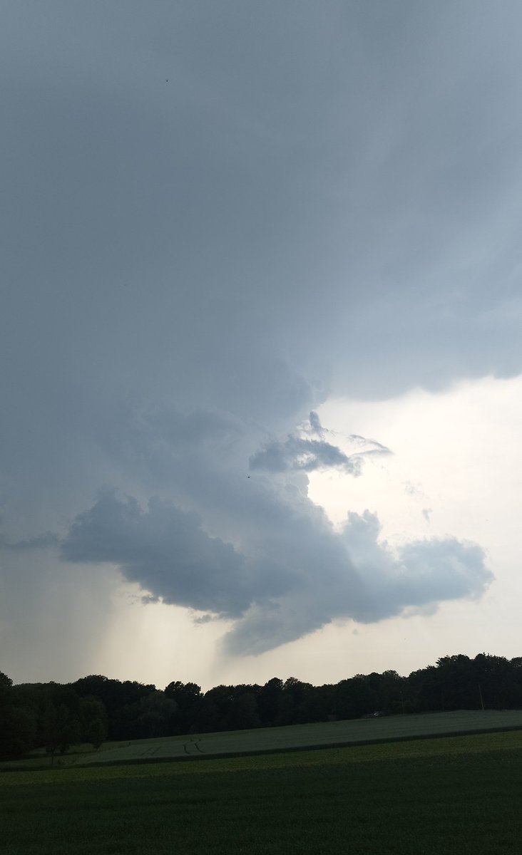 DroneMCapture's tweet photo. Explosive development over #Flobecq (BE) 18:50
This cell went from birth to a severe HP Supercell in a matter of minutes.
Massive updraft tower directly next to an intense purple precipitation core.
Unleashing high CAPE energy right now.

@kevinalves83 https://t.co/iPBSGcxBLg