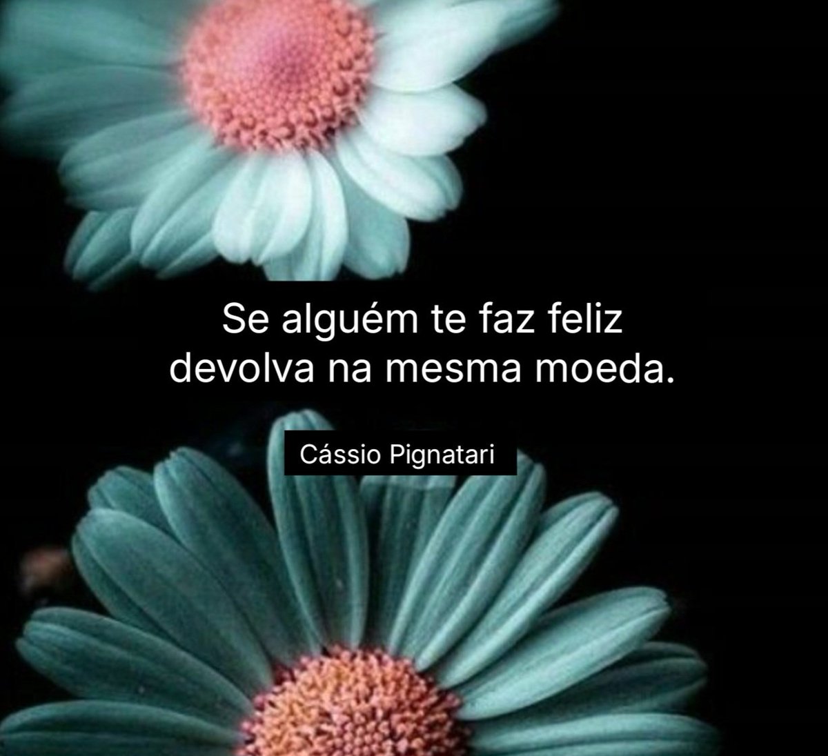 CassioPignatari's tweet photo. Aflorismos. https://t.co/UvjWmLW41C