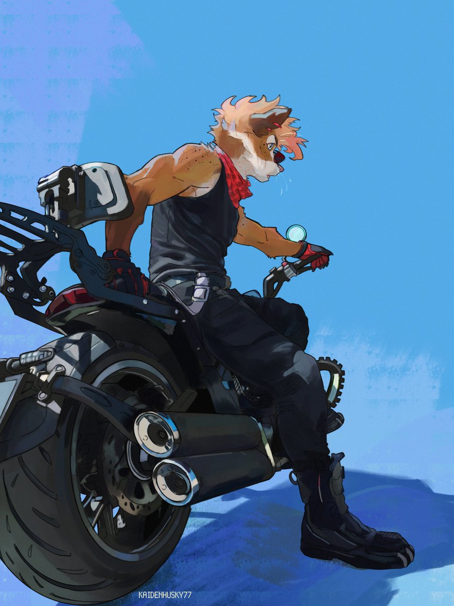 JCanis77's tweet photo. mouse on a bike https://t.co/wiT6cbKYGN