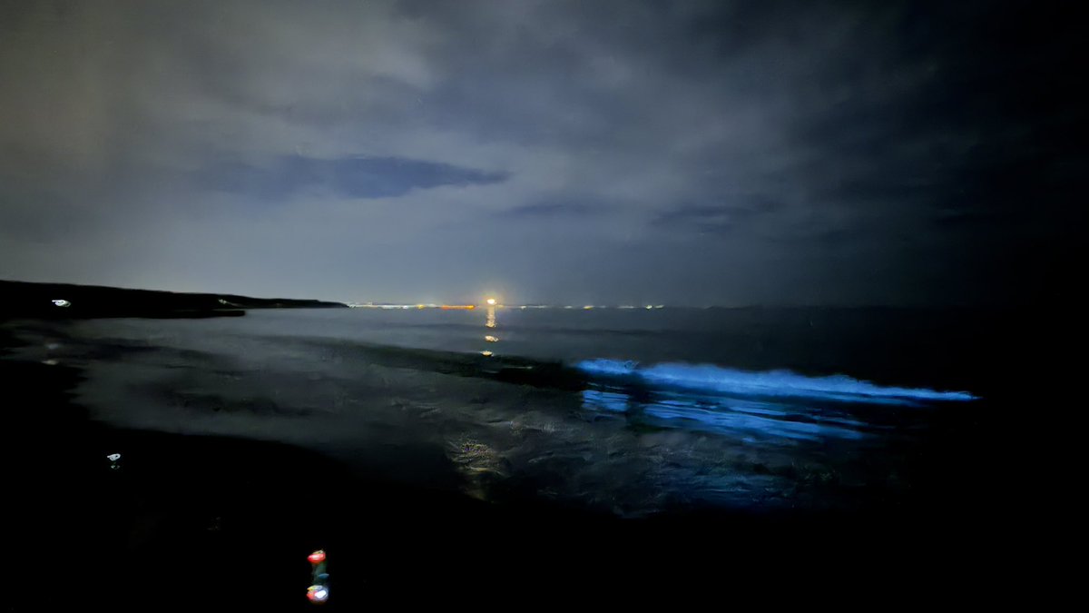 naoki_creative's tweet photo. 夜行虫🌊🟦
#茅ヶ崎
#江ノ島 
#夜行中 https://t.co/Trx1wC5Jj0