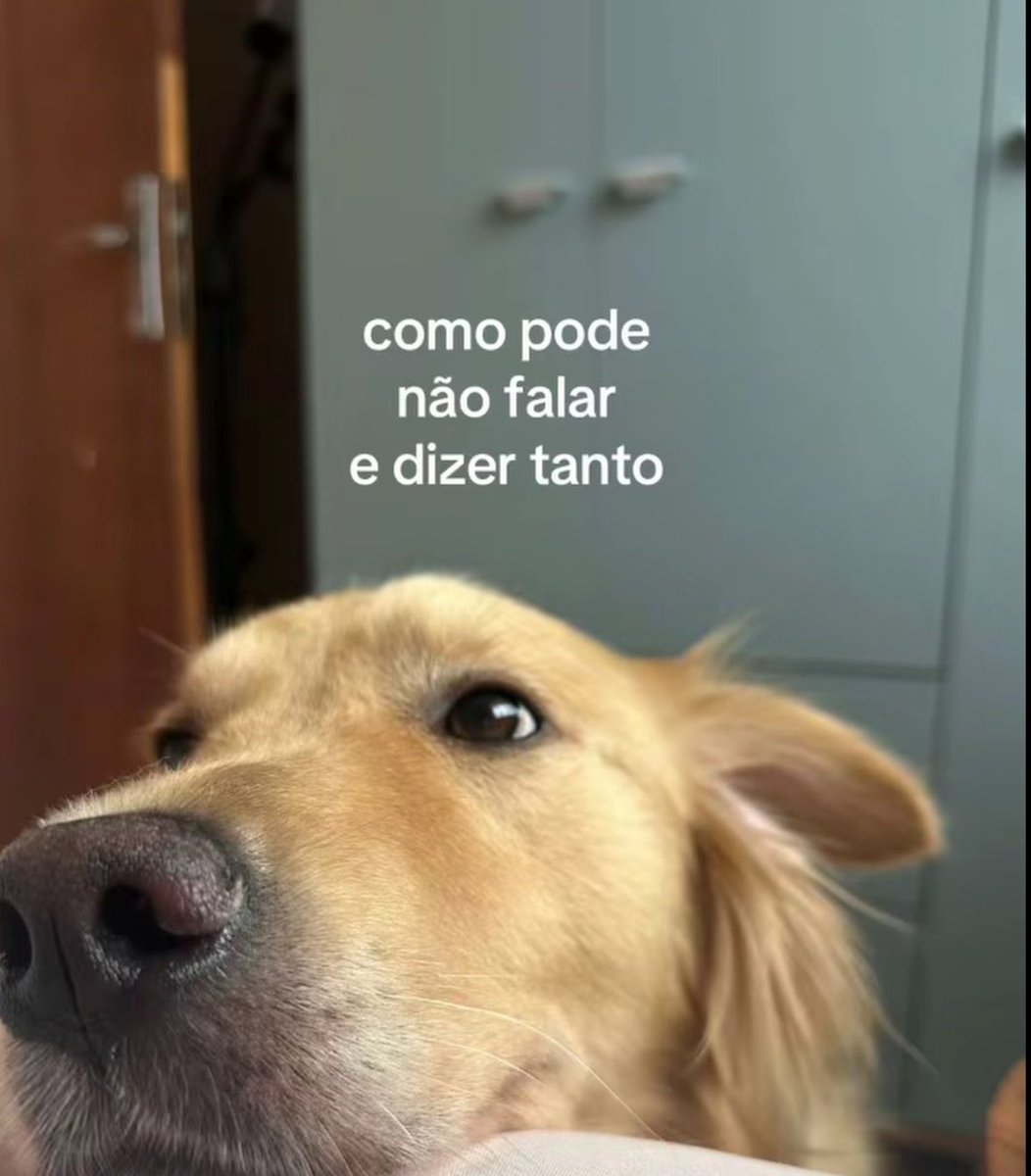 sincera tweet media