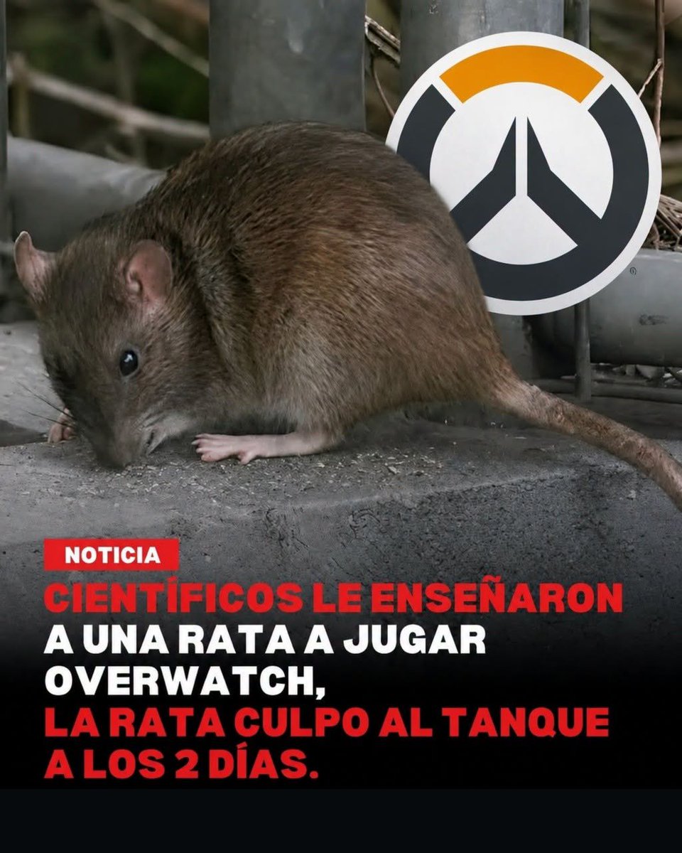 Geo 🇸🇻 tweet media
