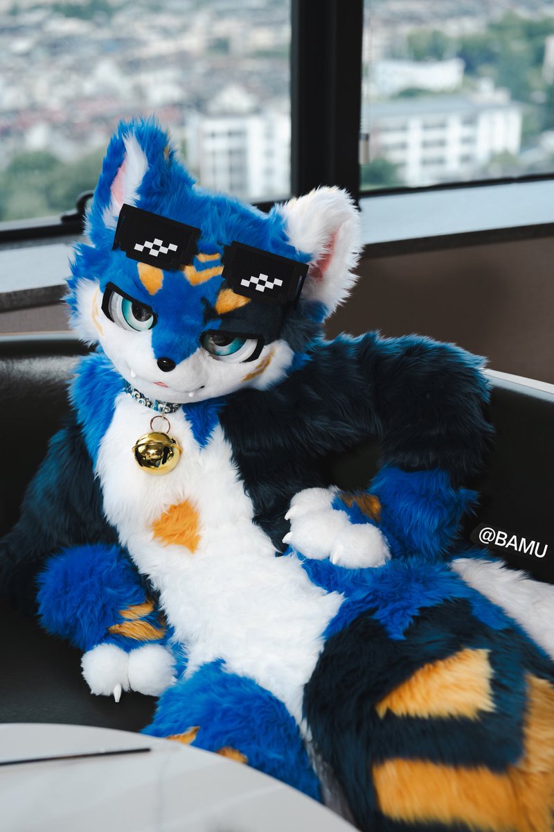 Jancake_'s tweet photo. 🕶️ #FursuitFriday https://t.co/9xpZ6Te46Q
