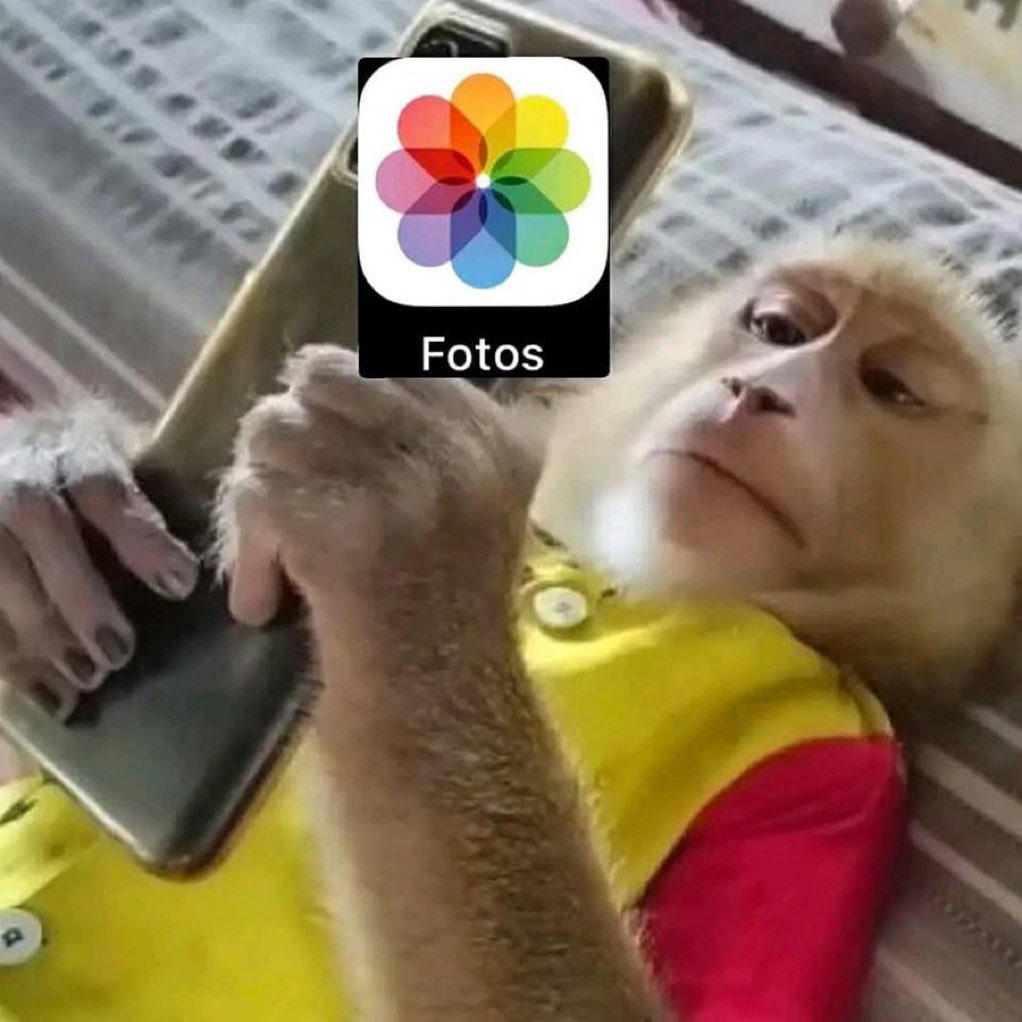 sincera tweet media