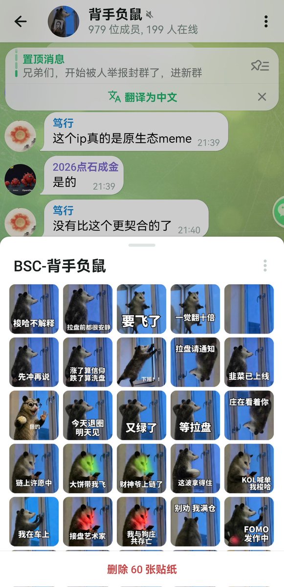 iMeow168's tweet photo. @meizhen520 @CryptoDevinL @blknoiz06 @traderpow @CryptoDevinL  
GM sir, 
pls check this #背手负鼠 
A pure meme, wild possum, no ip. https://t.co/ZeTI4qfdUK