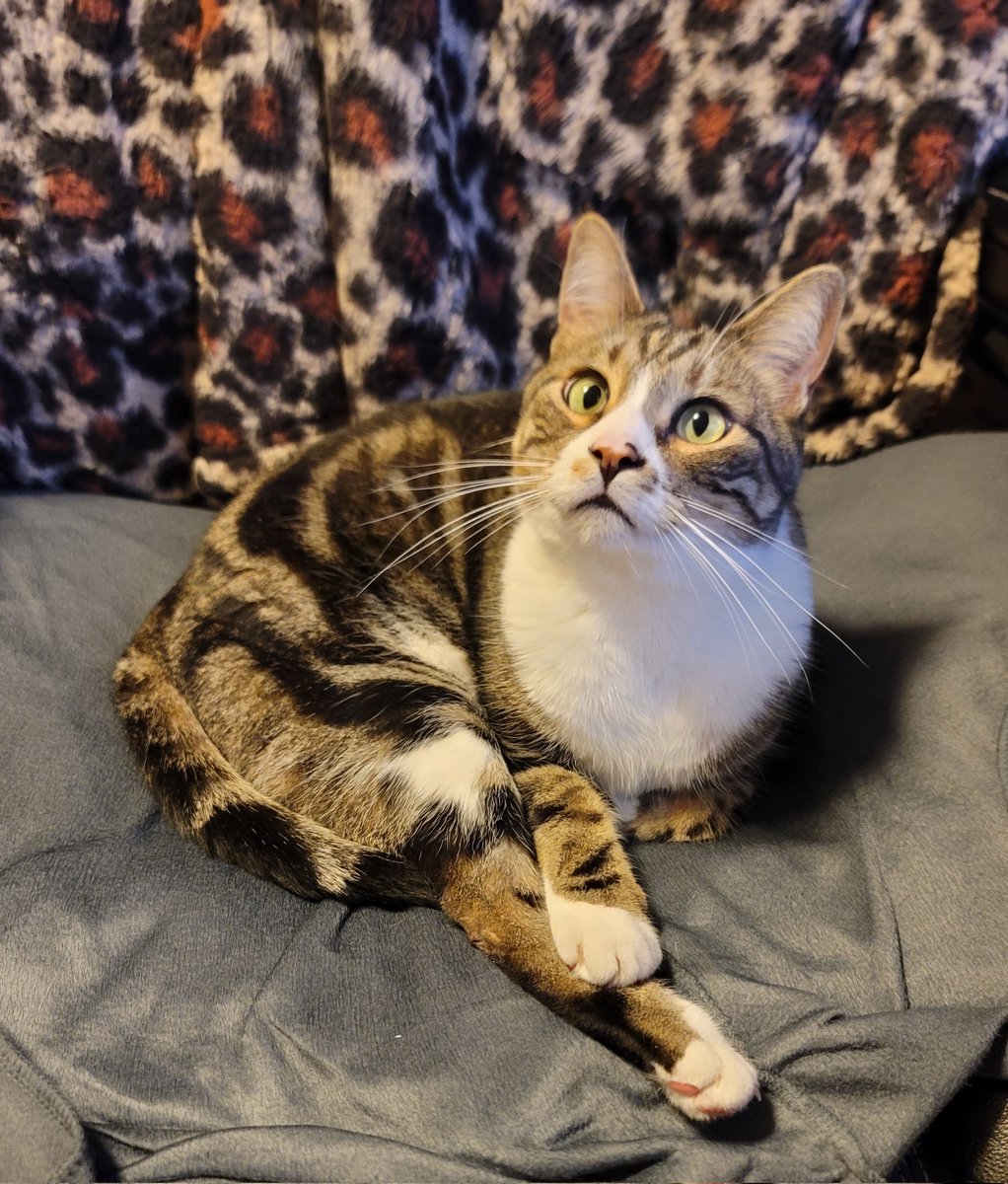 Spectreffex's tweet photo. Can't record... someone took my spot. What am I supposed to do, move him? https://t.co/Y9psNZoWCf