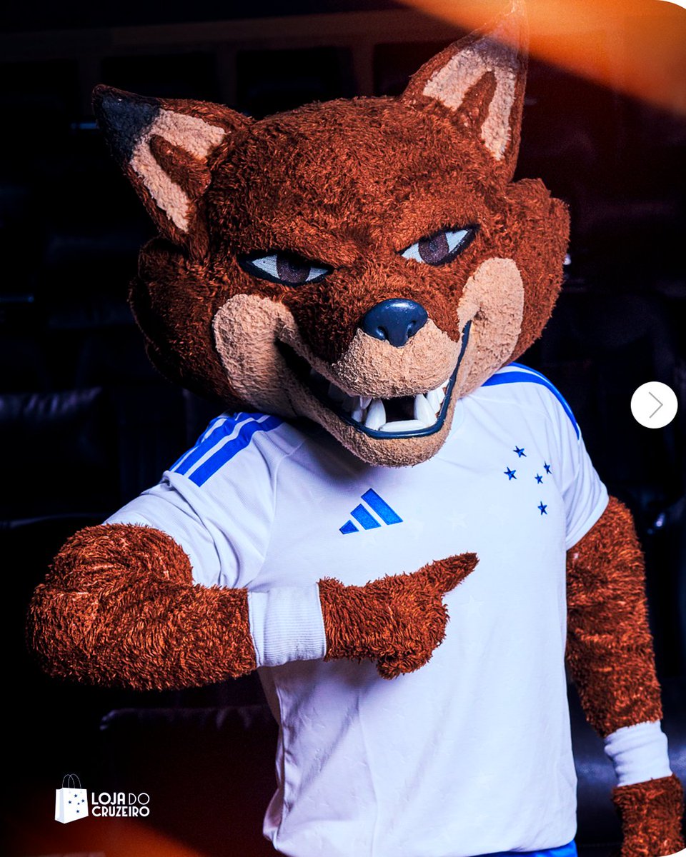 Cruzeiro 🦊 tweet media