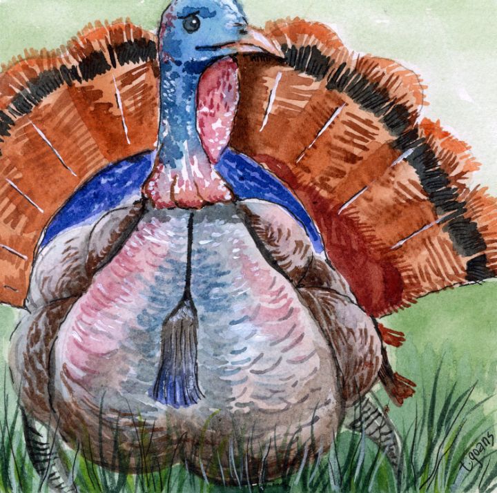 GoansArtRoom's tweet photo. Art of the Day! "Turkey Ted". Buy at: https://t.co/EjAmqALavP https://t.co/yKN33MSwpK