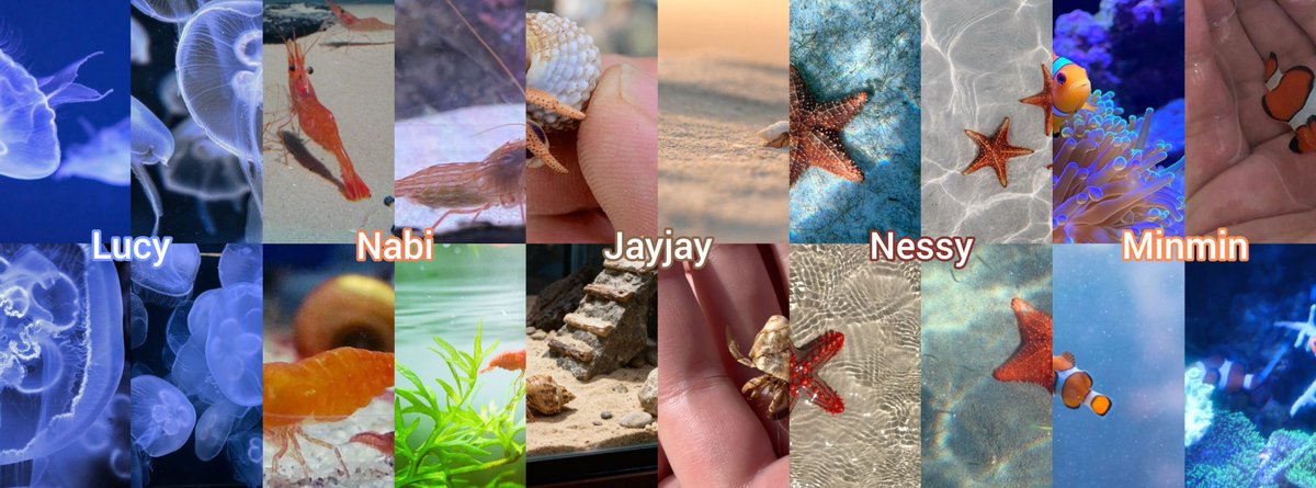 cresentdal's tweet photo. ── ꒰ 🫧 ꒱ Gang as sea creatures ‧ ₊˚ https://t.co/0cK5BFx3qS