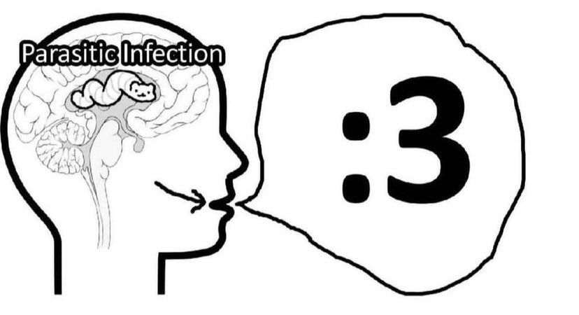 colon3community's tweet photo. https://t.co/CwudMhZlXv