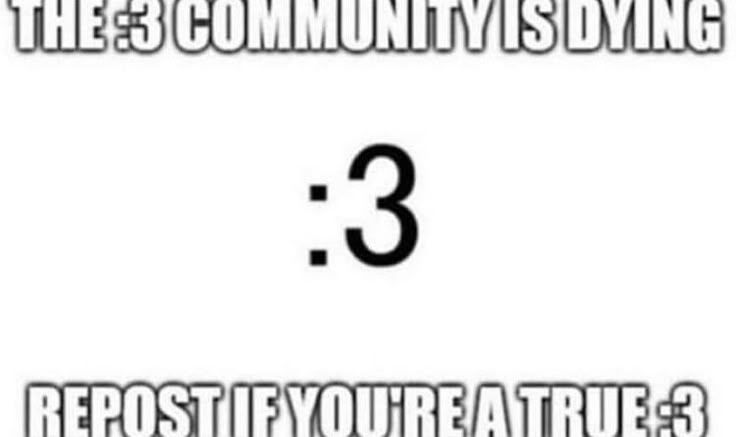 colon3community's tweet photo. https://t.co/Y2GC8fdgsE