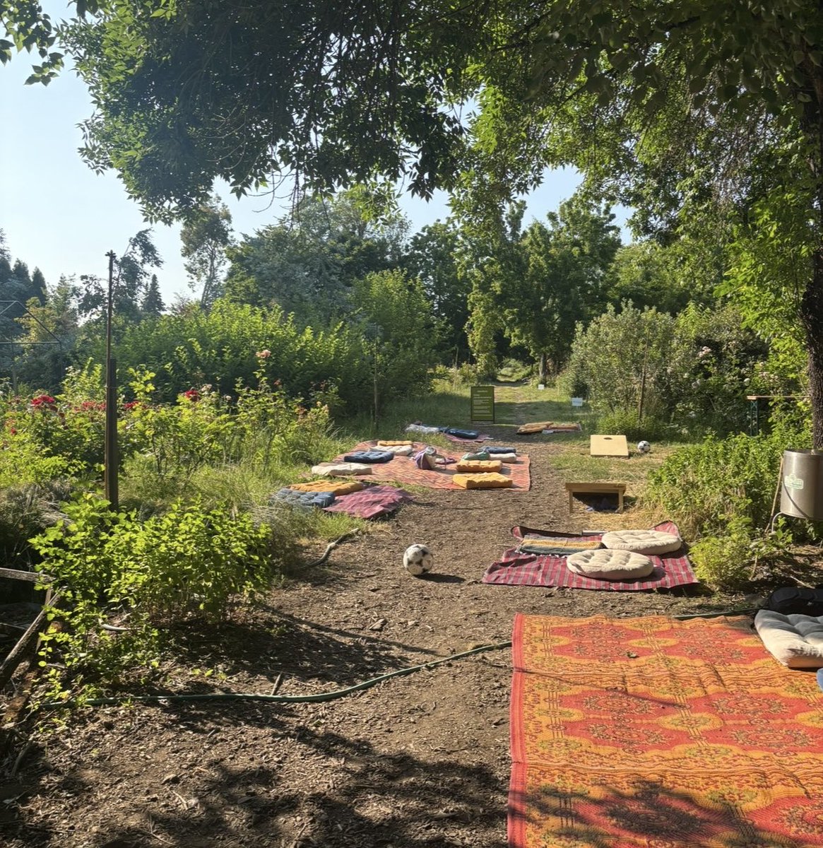 0xmads's tweet photo. The timeline loves to say “we’re cooked” 

But what if we gathered to imagine and prototype a better way of living ? 

Today is the first day of @JoinEdgeCity Esmeralda 🦋 where hundreds of people are gathering to test this question 1.5 hrs north of SF

If you’ve been craving more aliveness, synchronicity, or simply better questions - come hang

Lowkey Edge is one of the most hopeful places on Earth right now.

I urge you all to come for a day, a weekend, or a month

DM me for a discount code or if you’re on the fence about coming!!