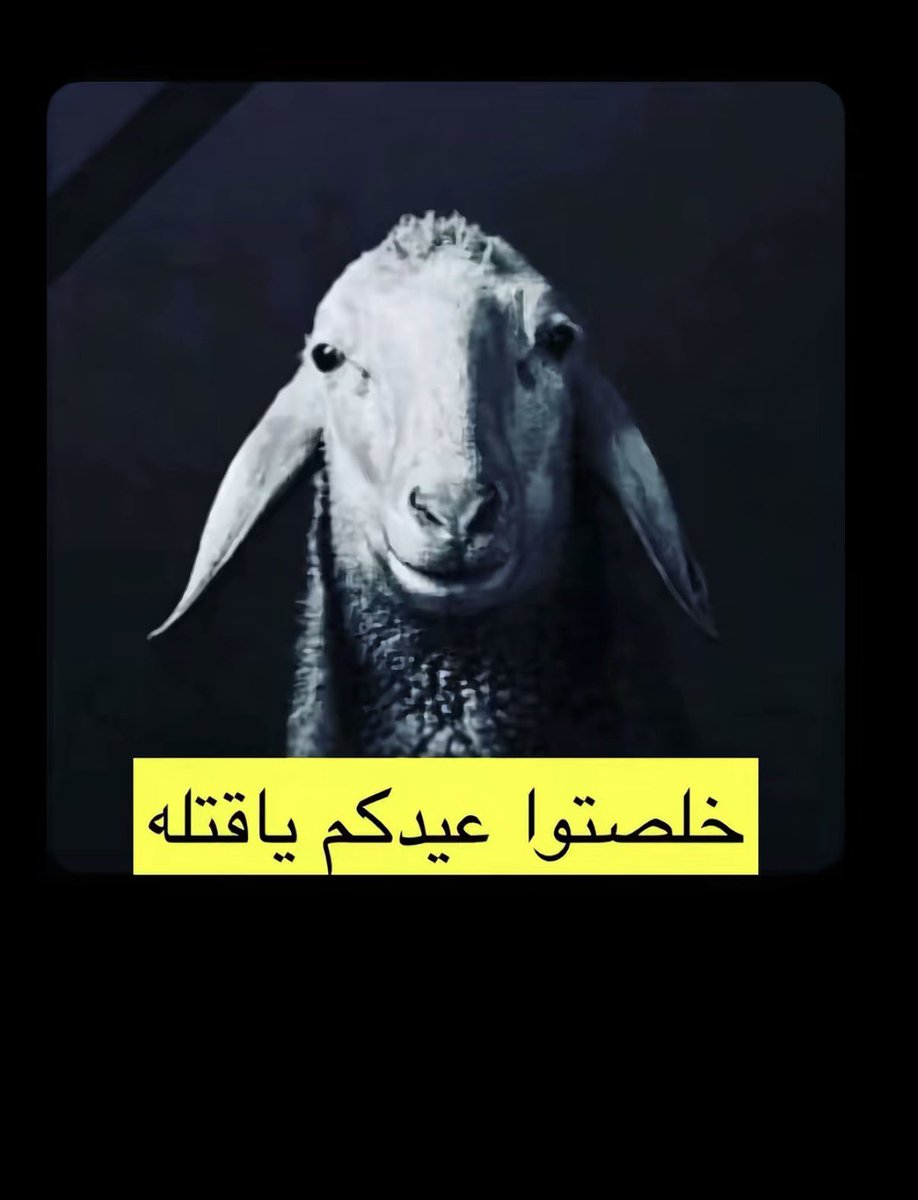 ᷂الـمها | 🇶🇦 tweet media