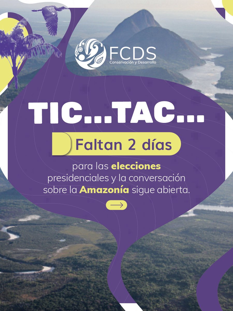 FcdsOrg's tweet photo. Faltan 2 días para las elecciones presidenciales, ¿#YLaAmazoníaQué?

Desde la Fundación para la Conservación y el Desarrollo Sostenible, en alianza con @lasillavacia y @CaracolTV , analizamos las propuestas de las campañas presidenciales sobre la Amazonía colombiana, para que la ciudadanía pueda votar informada este domingo.

Hoy ponemos a consideración las propuestas de @PalomaValenciaL.

La Amazonía también se vota.

¿#YLaAmazoníaQué?

@RodrigoboteroG 
@MariaAlejaVM 
@juanrobertovarg 
@francofidel
@asantosrubino
@NoruegaenCOL
@UKinColombia
@UEenColombia