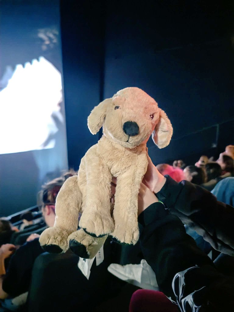 Seungangel 🐶🪽 tweet media