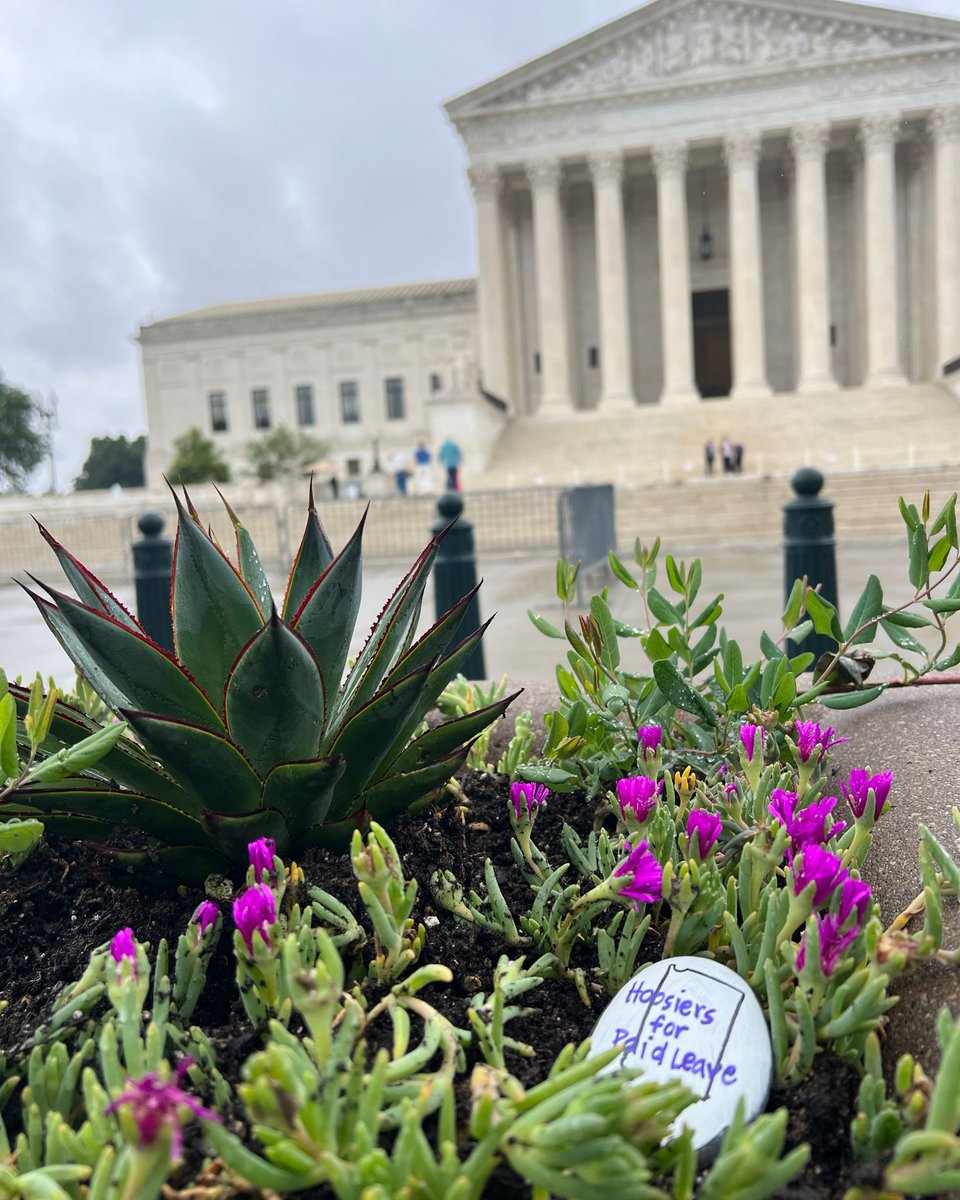 INInstitute's tweet photo. Policy Fellow Rebecca had a creative idea on how to spark policy conversations:
 
“I created “policy rocks’ &amp; placed them near D.C. landmarks w/ messages &amp; artwork, &amp; on the back “Post Me: #PolicyRocksDC26.” I hope people feel inspired to learn more about #paidleave policies!” https://t.co/PyJkPAgB9h
