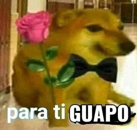 ferwhite's tweet photo. @urntmysuprvisr ora ora ora quem encontro por aqui https://t.co/nDb7z6k8on
