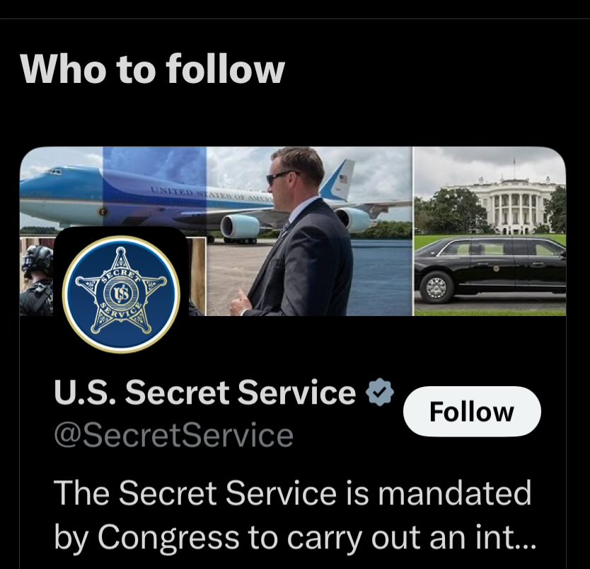 TheOtherLucille's tweet photo. does anyone else always get the secret service as a recommended follow or is this a personal problem https://t.co/tQG6N1yGCG