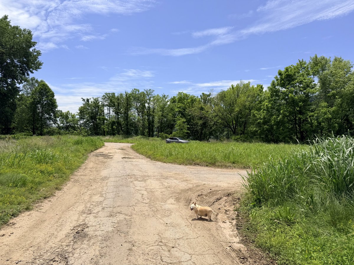 CybrHoldingsLLC's tweet photo. All Pickles needs is pet mode and some river views 🐶
#Tesla #PetMode #TeslaPetMode #TeslaLife #EV #Dog #DogsOfX #DogAdventure #TeslaAdventure #RoadTrip #Nature #HappyDog #Chihuahua #ModelY #FSD https://t.co/hDojVLJnyi
