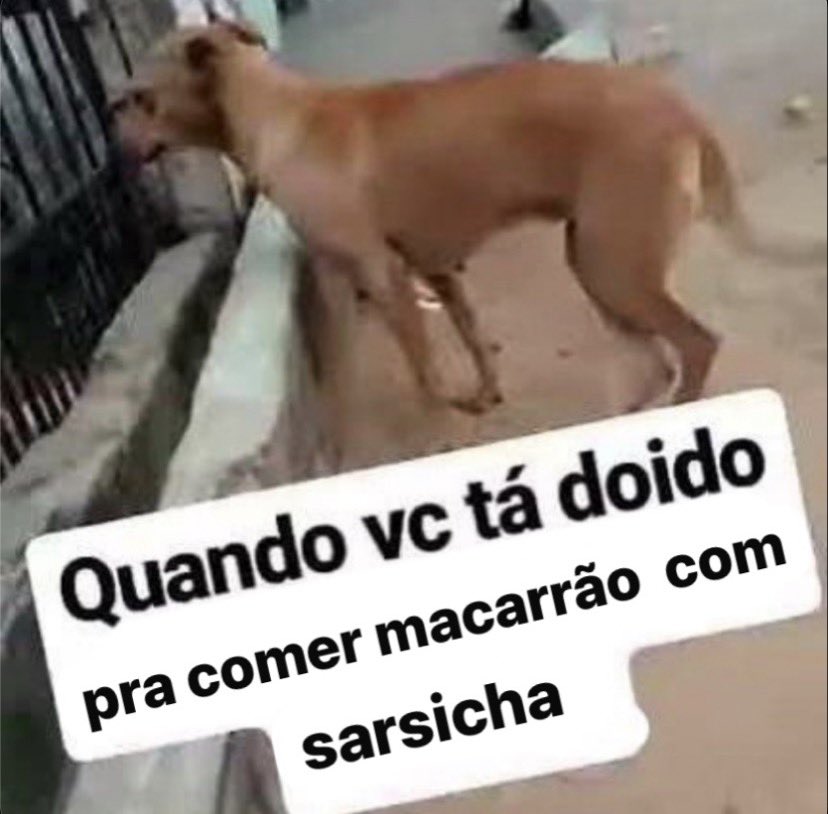 mundinho sean o’malley tweet media