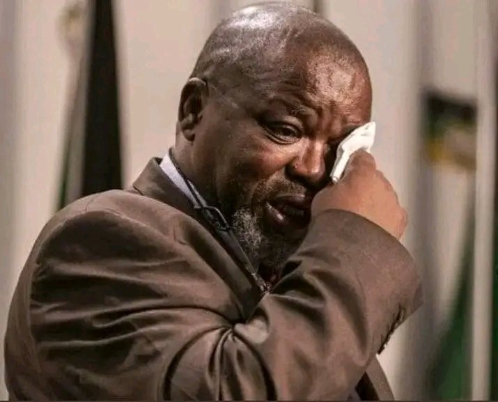Bafana Fate tweet media