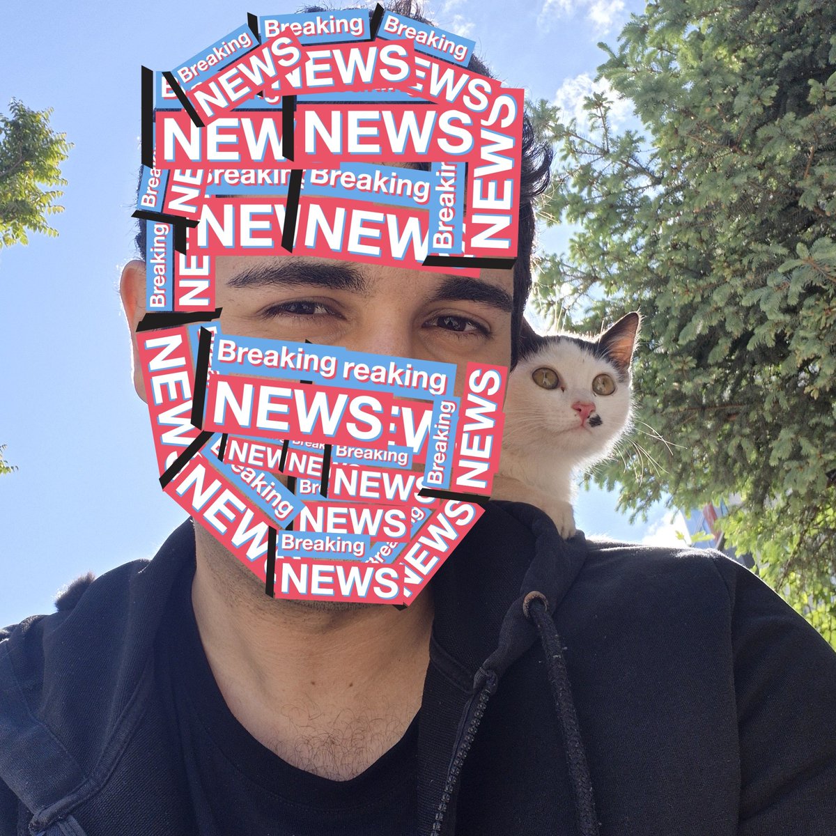 afacan tweet media