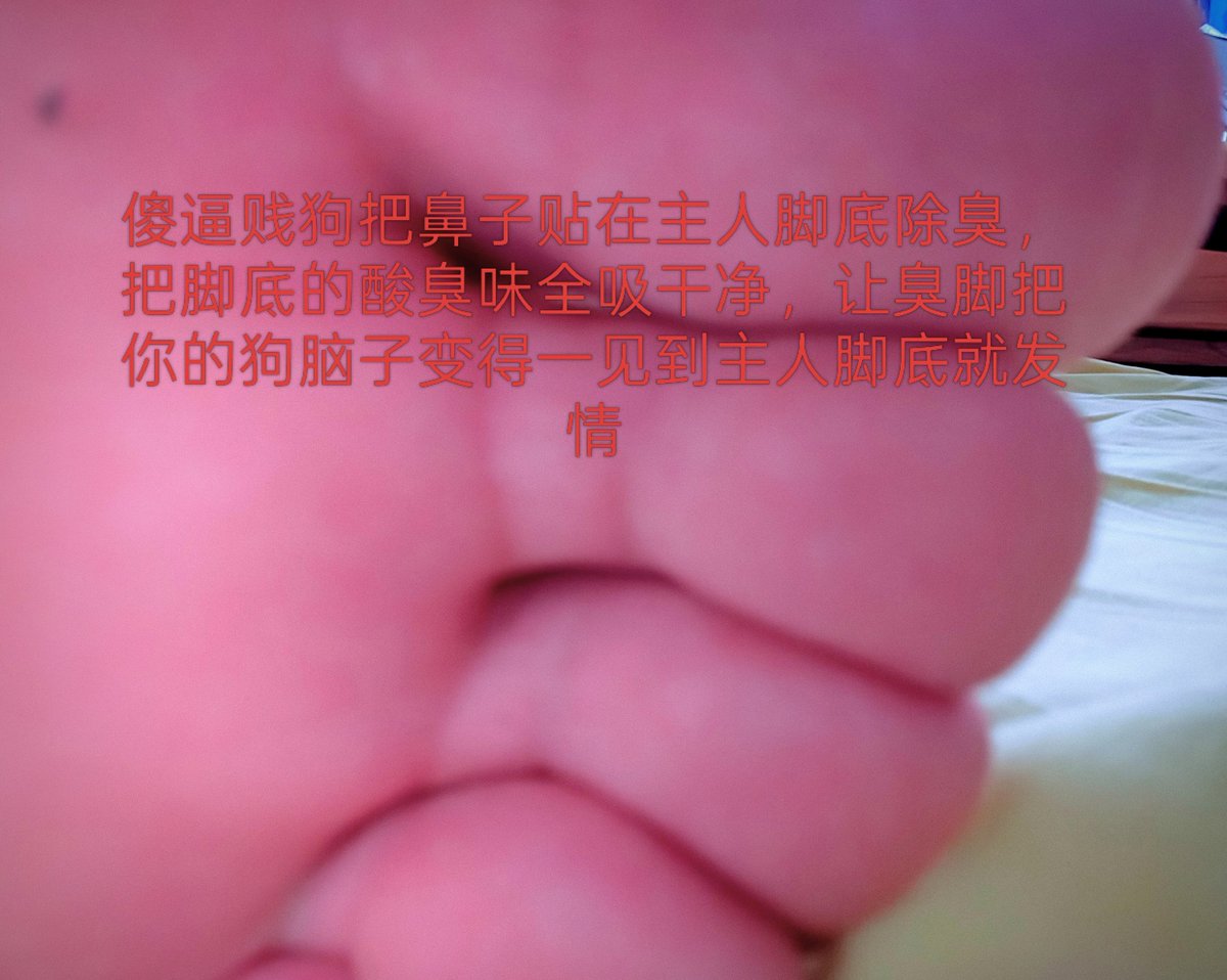 e_suo7408's tweet photo. 什么样的母猪才好玩滑稽呢，应该是那种恋足又恋臭的傻逼母猪，什么都不用干，光是脱下鞋和臭袜，露出臭脚，散发的脚臭味就足够把这类母猪熏到发情，再本能地翘起自己的臀和贱穴爬过来争着除臭舔臭脚，要是把袜子往远处一扔就像狗一样爬过去再叼回来。这种母猪已经可以说是牲畜了吧
#恋足 #恋臭 #母猪 https://t.co/bEtw5mKum8
