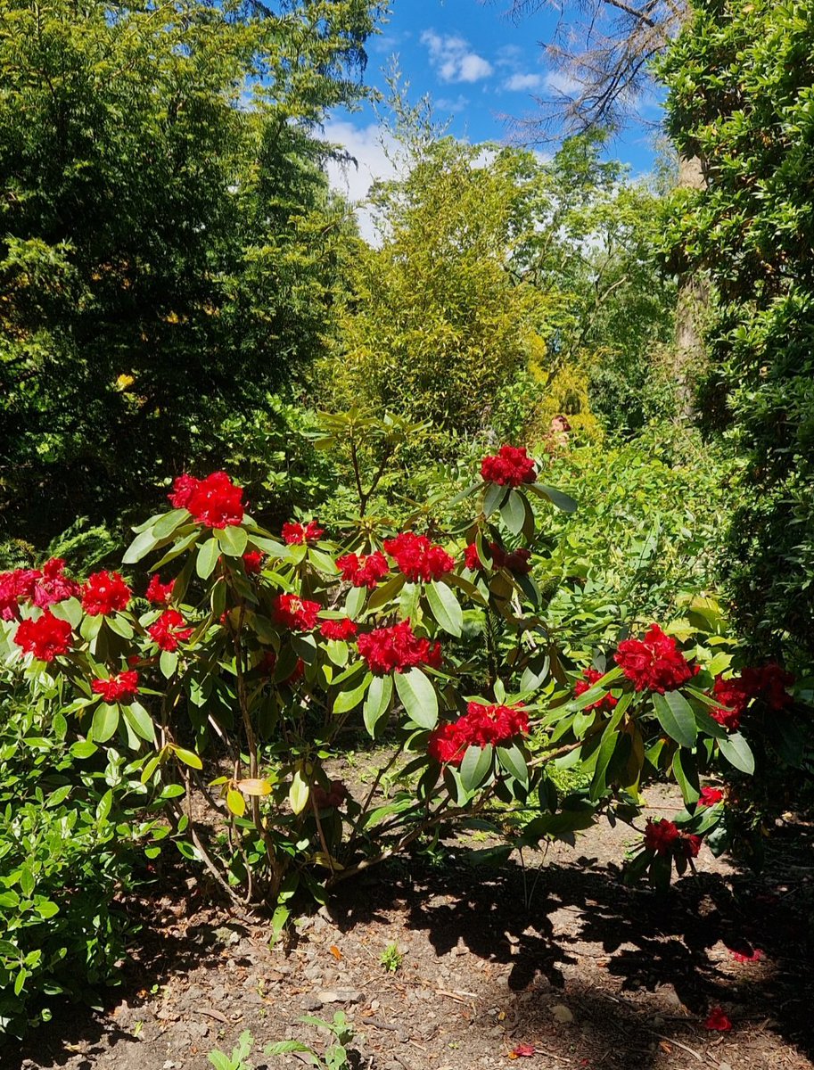 JuneHymn__'s tweet photo. Love me a heatwave. https://t.co/h0kP2snRfY