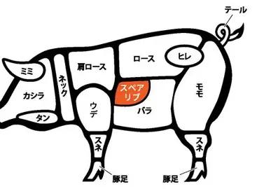 椎井蹴人 tweet media