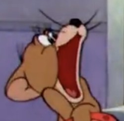 greensurvomystery tweet media