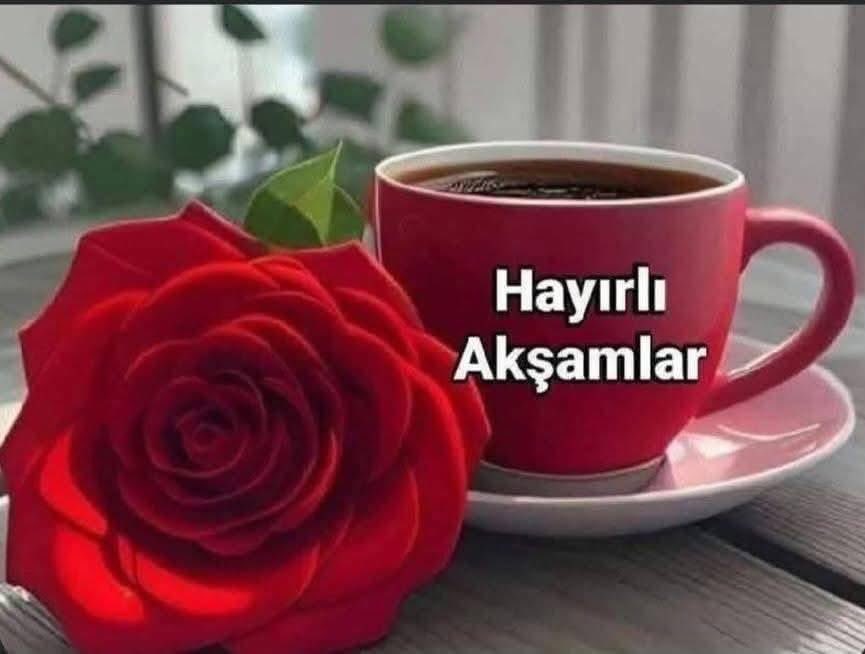 Mehmet tweet media