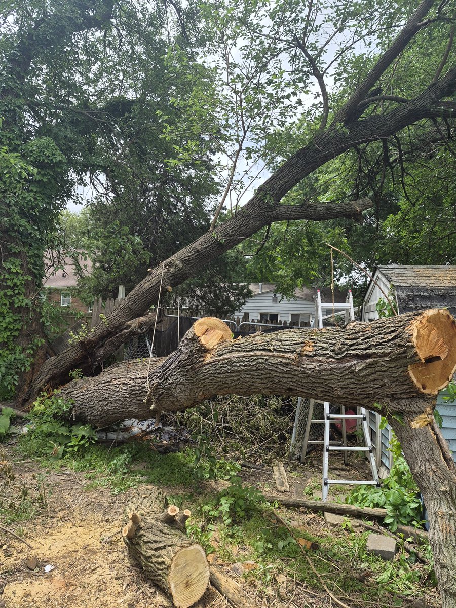 Welovetrain21's tweet photo. @Jayecane To remove a tree https://t.co/MSPXlhPsmQ