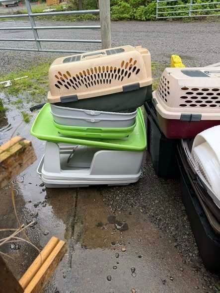 PittsburghLGBTQ's tweet photo. Volunteer needed to transport pet items from Wexford to Northside ASAP. Truck, SUV, similar vehicles. Nothing very heavy. Please reply via DM or email folx@pghlgbtq.org if you can help today (Sat) or Sunday. Thank you! Oh these are for the pet food pantry. https://t.co/eILmU7O6wc