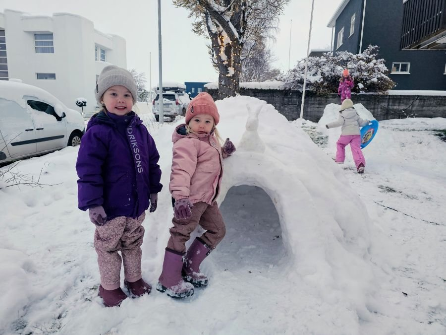 flamptiton's tweet photo. ESB aðild snýst um svar við einfaldri spurningu:

Hvort telur þú að kjörnir Íslendingar eða ókjörnir erlendir embættismenn, séu betur til þess fallnir að gæta hagsmuna þeirra sem búa á Íslandi.

Ef þú velur embættismennina þá hefurðu líklega aldrei opnað sögubók. #esb https://t.co/oWrJ8brosV