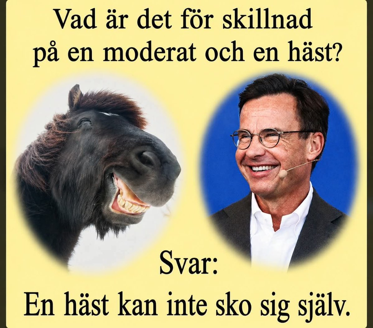 TorgnyKarlsson9's tweet photo. https://t.co/xaQICPwB8d