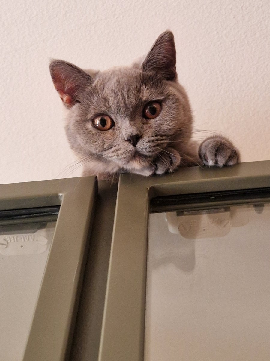 Ohratuu's tweet photo. "What?!" https://t.co/SWK3Rn9Tcy
