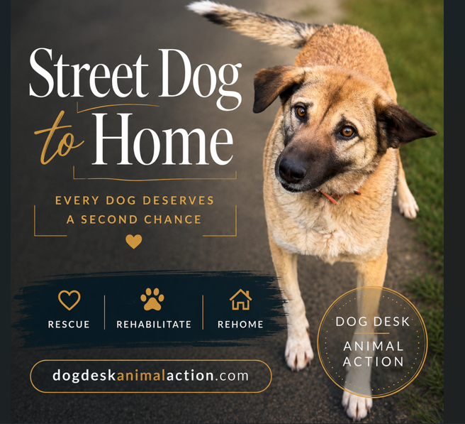Dog Desk Animal Action tweet media