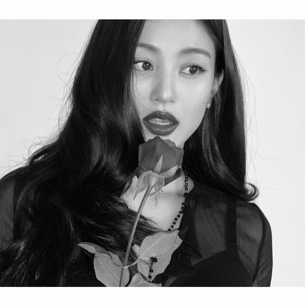 swtmoons's tweet photo. me pretending recent pics of idols with flowers is promo for petal #multistan https://t.co/w1oV5ptWK6