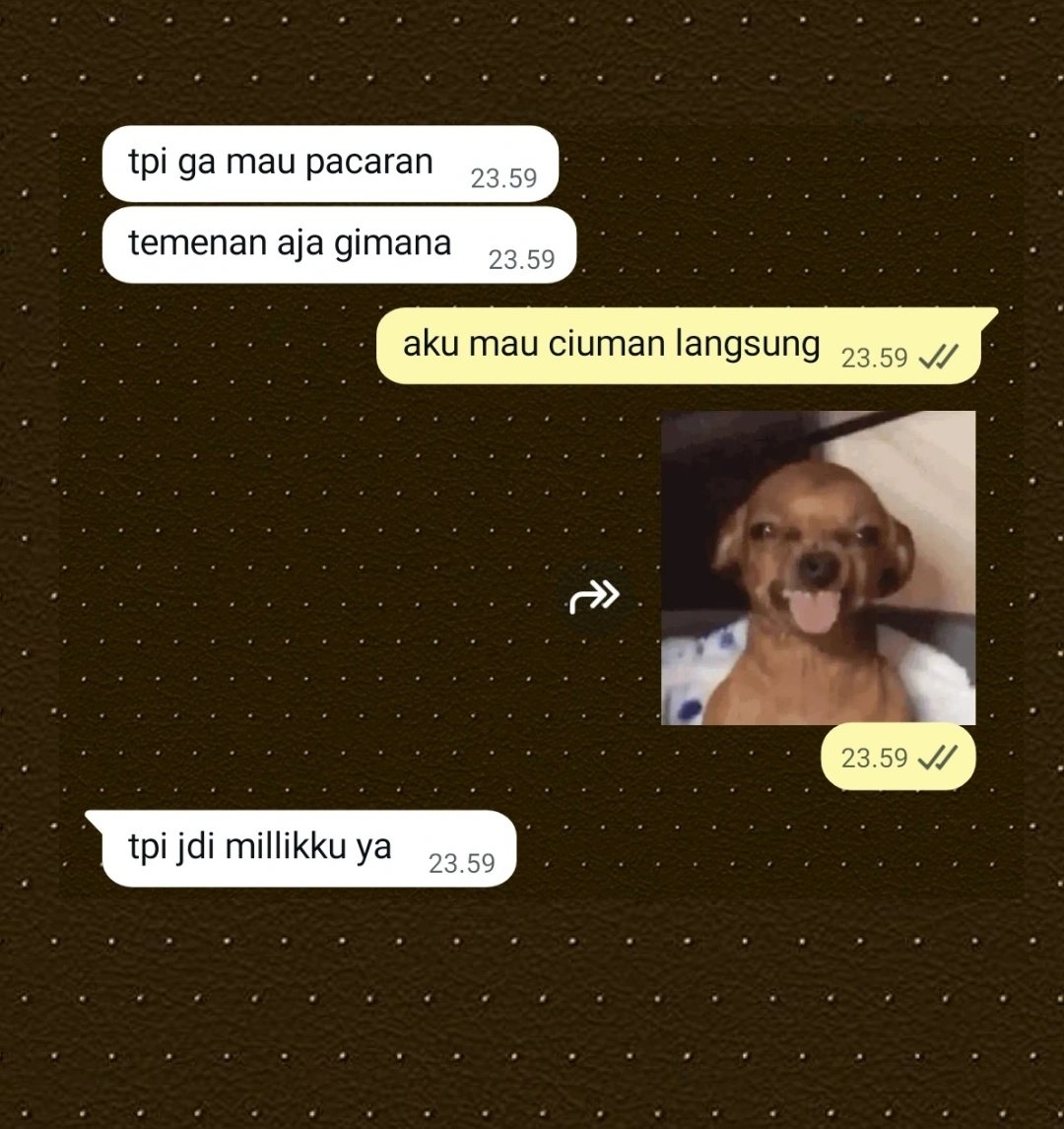 teteh quin limit tweet media