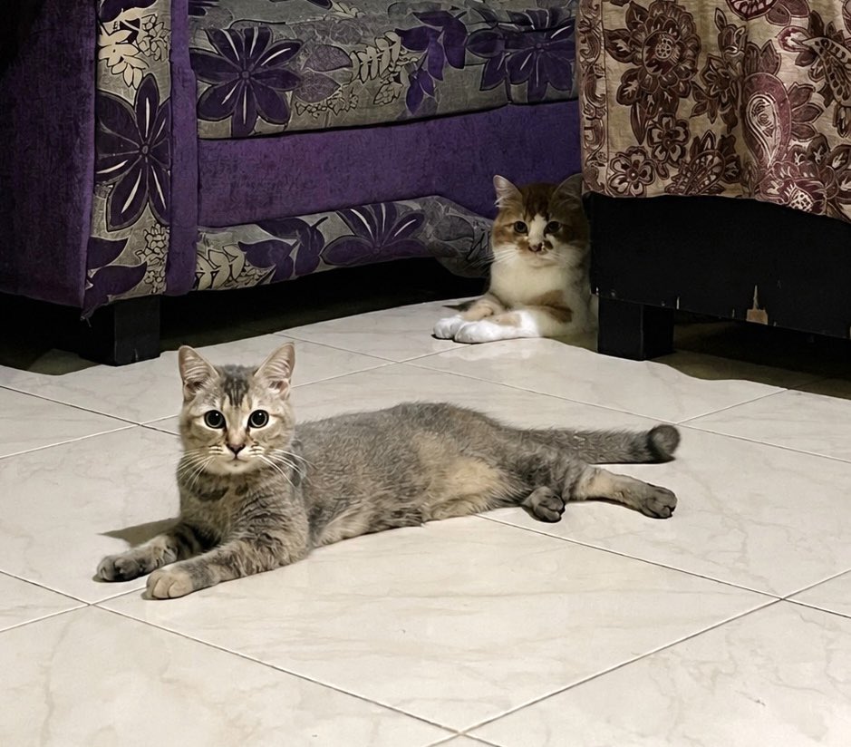 deppnath's tweet photo. Ahahaha lucu bgt makasih yaa nak ditemenin, sayang bgt nak 🥹♥️ https://t.co/ydzOzTl210