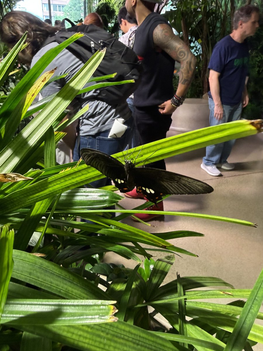 Kim 𝜗𝜚 tweet media